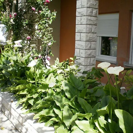 Апартаменты Apartmani Mare