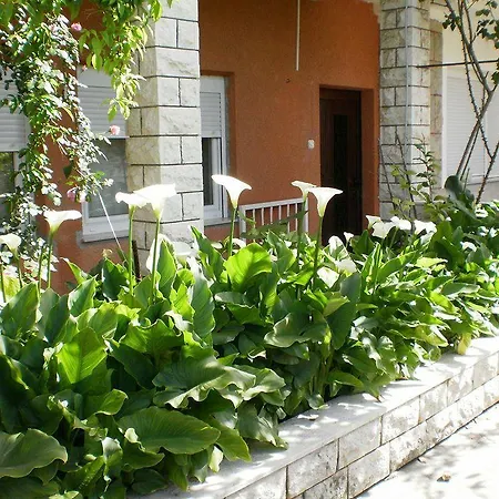 Apartment Apartmani Mare